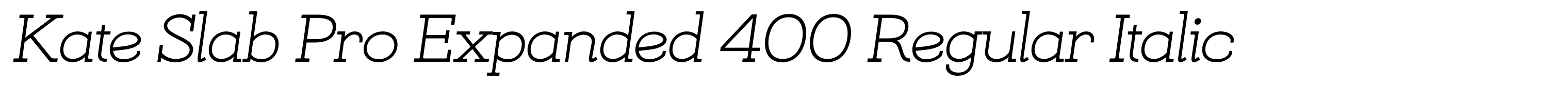 Kate Slab Pro Expanded 400 Regular Italic